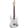 E-Gitarre von MSA