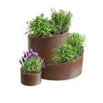 Muchome Kräuterspirale