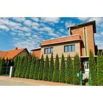 Mueller Muenchehof Pflanzen GmbH Thuja Smaragd