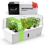 Munroomy Mini Gewächshaus