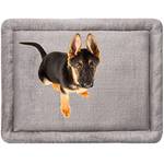 MyBestBuddy Hundekissen