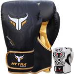 Mytra Fusion Boxhandschuhe