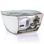 Nadir  Bonsai Starter Kit