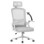 Naspaluro Computerstuhl