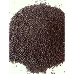 Natur-shop24 Rapssamen