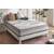 Naturalex Carbone Plus