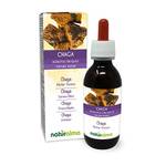 Naturalma Chaga