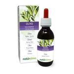 Naturalma Olivenblatt Extrakt