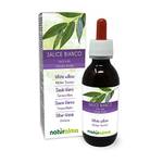 Naturalma srl Silber-Weide (Salix alba) Rinde