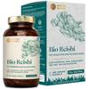 BIO Reishi von Nature Basics