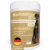 Natürliches Grünlippmuschelpulver von Natureflow