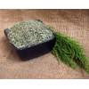 Schachtelhalmtee von Naturix24