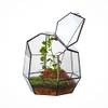 Kleines Geometrisches Terrarium von NCYP