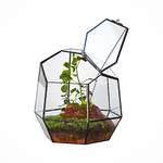 Ncyp Kleines Geometrisches Terrarium