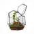 Ncyp Kleines Geometrisches Terrarium