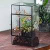 Terrarium von NCYP