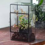 Ncyp Terrarium