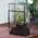 Terrarium von NCYP