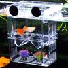 Aufzuchtbecken Aquarium von NETUME