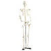 PE8175 von Newgen Medicals