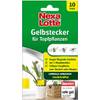 Gelbstecker von Nexa Lotte