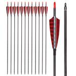 Nika Archery Reine Kohlenstoffpfeile