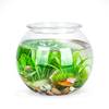 Kugelaquarium 2.8L von Nobleza