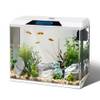 Mini Aquarium von Nobleza
