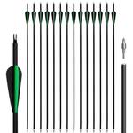 Northspoor Carbonpfeile