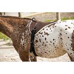 Norton Soft-Reitpad Symantec