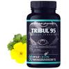 Tribul95 von Nutrive Pharma