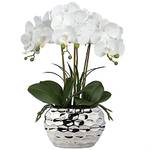 Oairse Kunstpflanze Orchideen