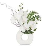 Oairse weiße Orchidee