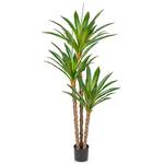 Oairse Yucca Palme