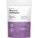 Oceancoll Meereskollagenpulver