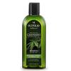 Hanföl Shampoo von Olivolio