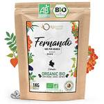 Origeens Fernando