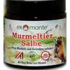 Murmeltier-Salbe von Original exmonte