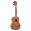RU5 Konzert Ukulele von Ortega