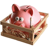 Sparschwein von Out of the blue