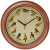Vogeluhr von Out of the blue