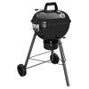 Chelsea 480 C von Outdoorchef