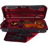 Livorno Violinetui von Pacato