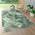 In- & Outdoor-Teppich von Paco Home