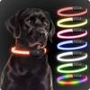 Light Collar von PAJ GPS