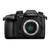 Panasonic Lumix DC-GH5EG-K