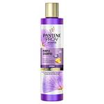 Pantene Pro-V Miracles Stärke & Anti-Gelbstich Purple Shampoo