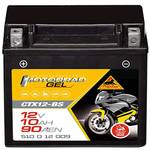 Panther GEL 510012009