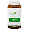 Papain von Vitalingo