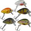 Mini Forellenwobbler von Paradox Fishing